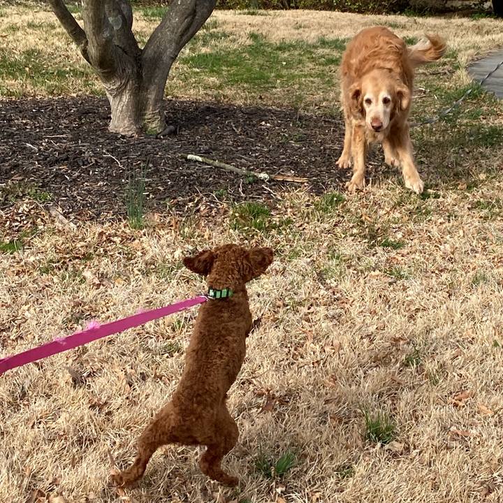 4ec3db02 5304 4afe a722 963c112956b2 1584482719916