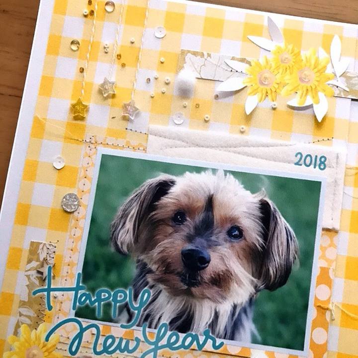 4ec3f50c 9307 478f b36b 243947566608 1514787509637