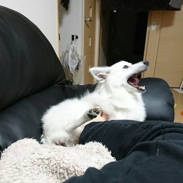 4ec41b99 ee08 4b18 a5e6 69504ce3e212 1511944960864