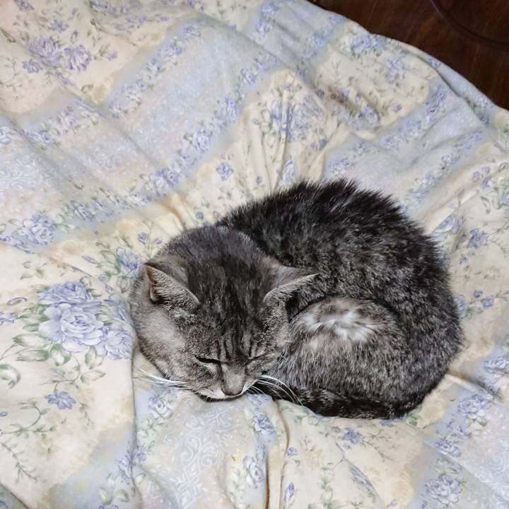 4ec44fbf 47a0 4e25 a65a 08c31ca79d3b 1580386074252