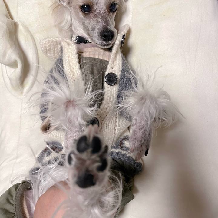 4ec4f20c 3834 4a80 bac3 de1e2c5e6dbc 1765881800463