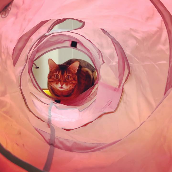 4ec54a13 8478 4147 8227 26f869ad939c 1644590242837