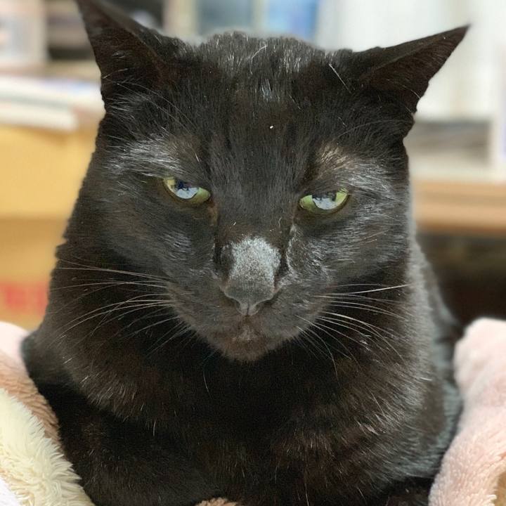 4ec54c06 6eda 4590 8320 4ca2604f3802 1578793087114