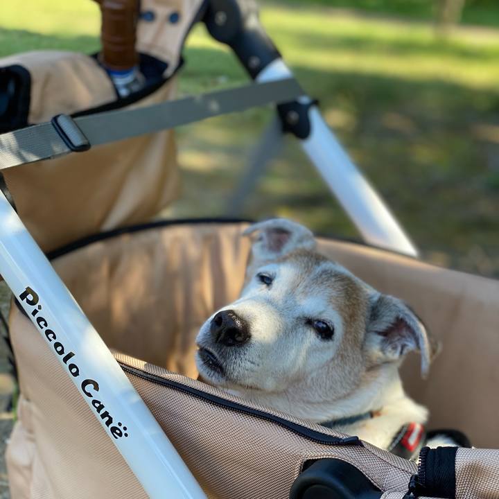 4ec55c5e 50dc 4868 9823 426fe92cffd8 1633753829822