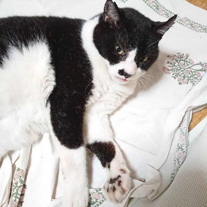 4ec56ce6 db62 4ef3 8652 fbfc69e4bcff 1662707622169