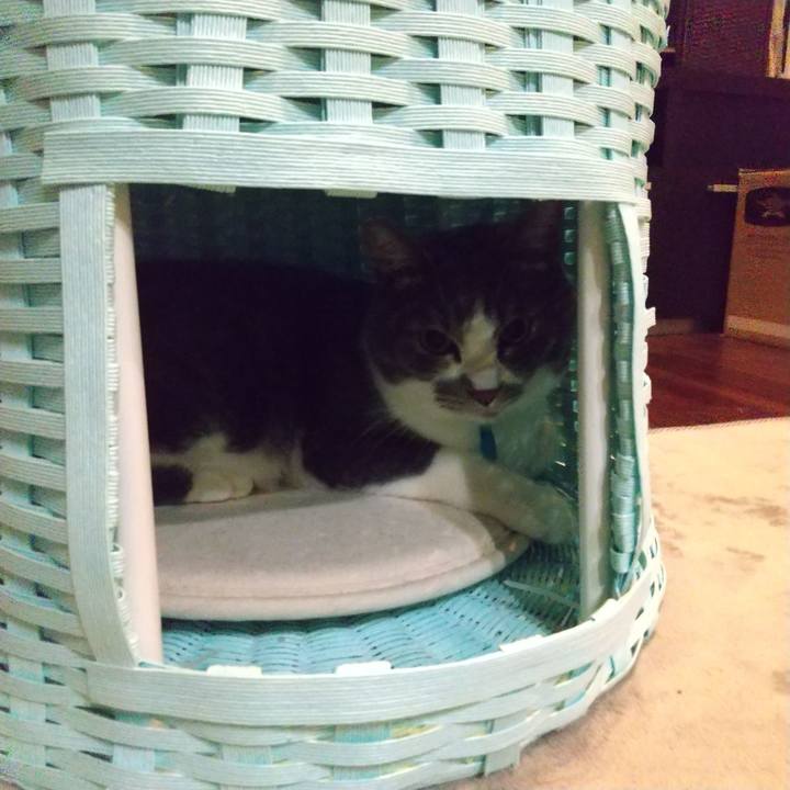 4ec582dd 02d4 4bc6 bc2c 3d12eb942671 1646314302516