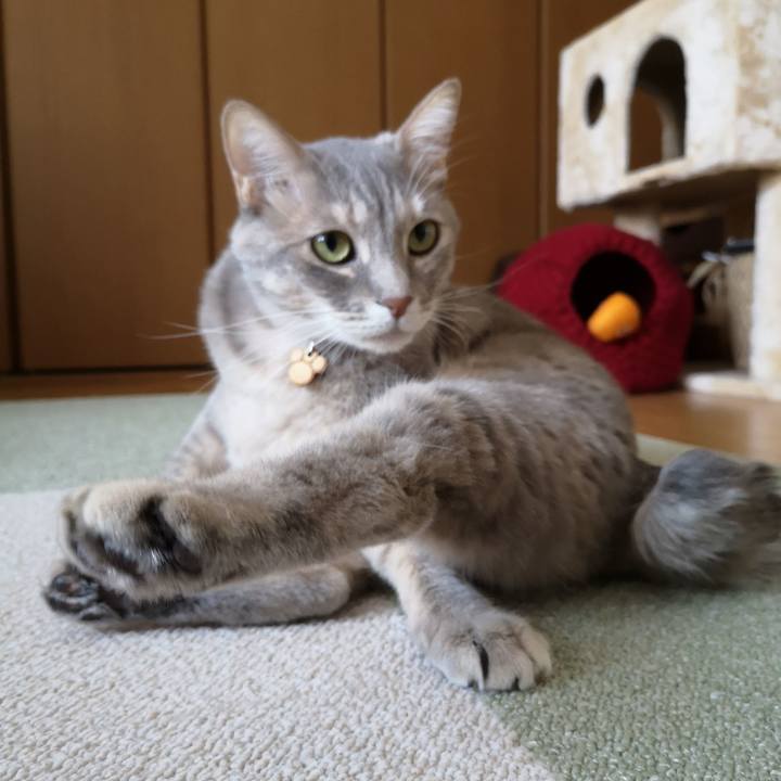 4ec58da8 2f3d 4bc4 8758 7ea20dadcddf 1585107199777