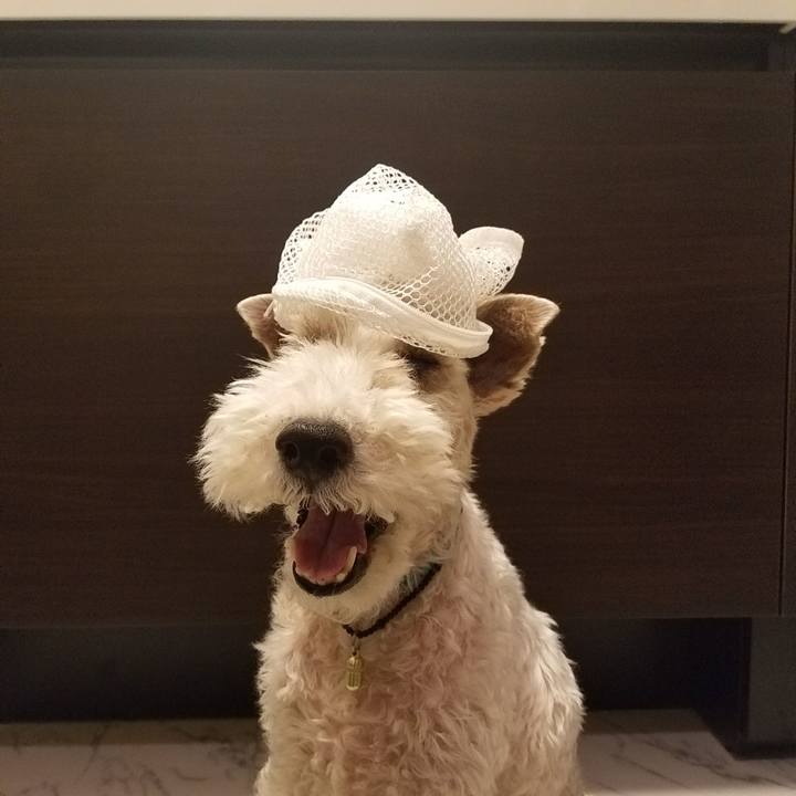 4ec5b459 ed12 409a 87f3 ba59c4d6034b 1556022946108