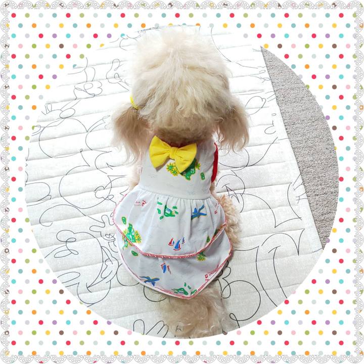 4ec5d16f 7a5e 48c2 bfc6 de476d13f1c5 1569067071242