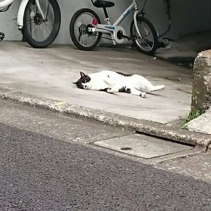 4ec5e2e6 2aae 4eeb 93c8 b28e28b1e73a 1523775724080