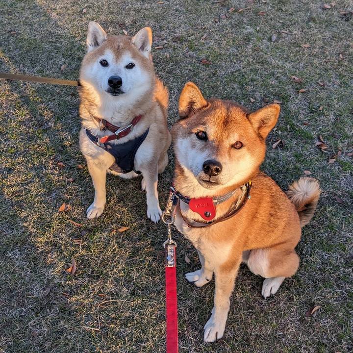 4ec5ea51 8d00 492b 962e 57dd2232f5ee 1701588724632