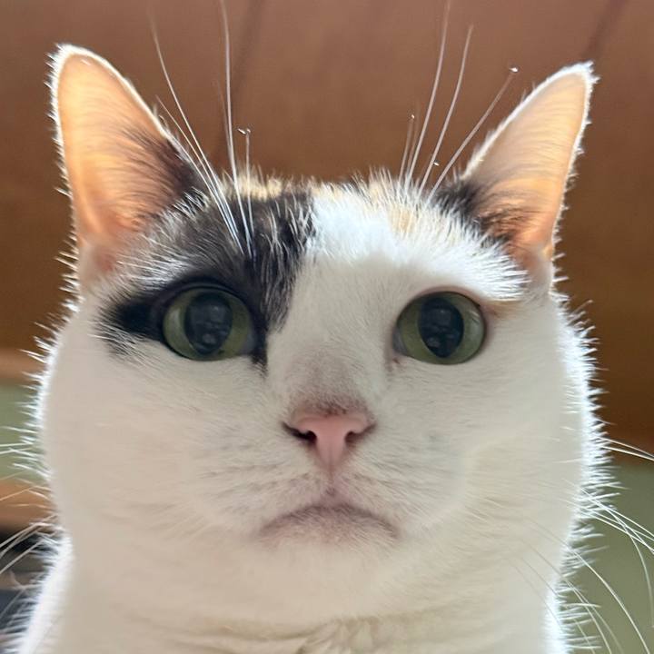 4ec5fd1a b2c9 4350 8bcc ea430a2553cb 1766455220559