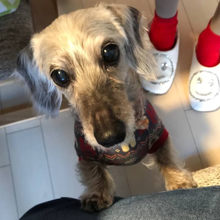 4ec626d8 f4b3 41d5 88e6 c8c1ba647a9e 1511074000771