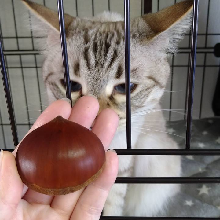 4ec63308 5705 4d5b abd4 6ebb628e9723 1664697684206