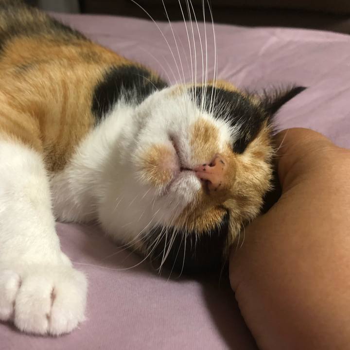 4ec65557 cb28 4750 bc82 5fd2ebd2b021 1562249804265