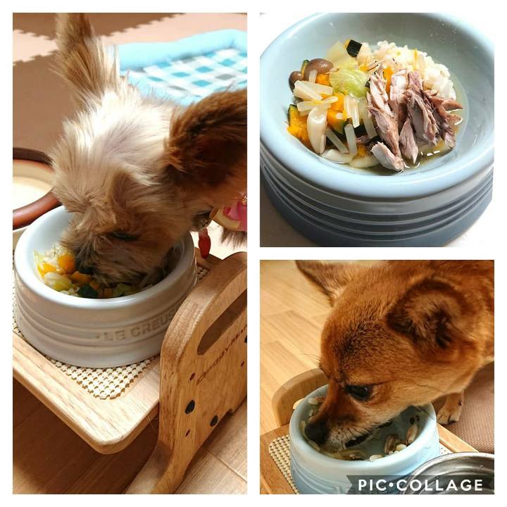 4ec66547 af15 4fb9 ad95 0b9c4e06273b 1568898910630