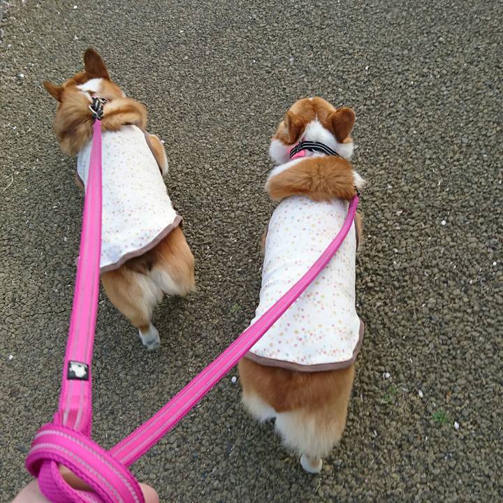 4ec672f6 7321 4a56 9f8e 689ca211b104 1522742502106