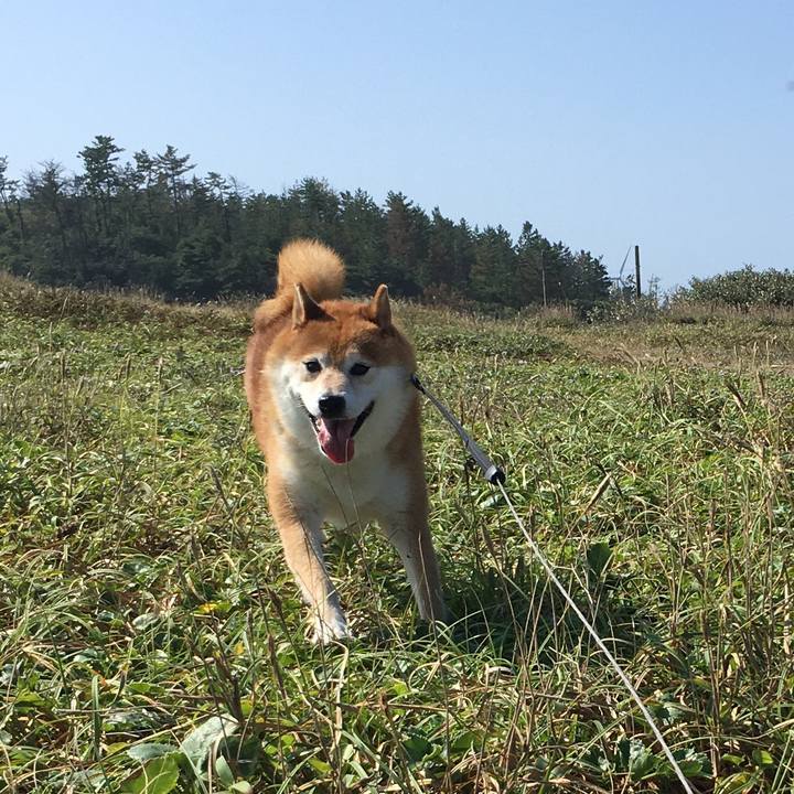 4ec68d4a b728 4264 a996 4b8f1b461c4a 1632565784450