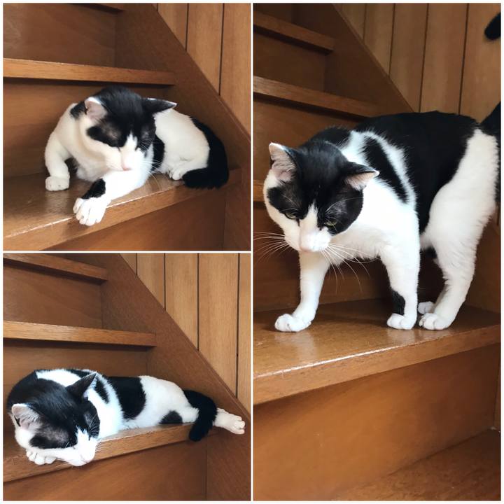 4ec6ebe4 80f7 409f ba9c 85b6fa71da97 1530110594832