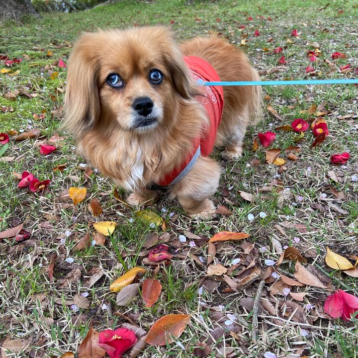 4ec6f3a9 321b 415f 9fb5 2a6d92d3a036 1617399458032