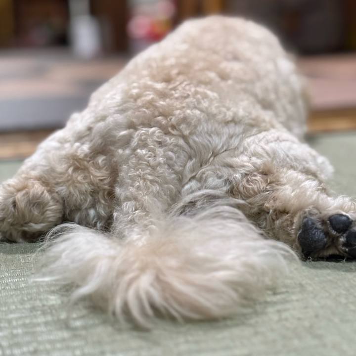 4ec70a33 9360 47de 9ae6 5e0f9c9911e0 1759043236046