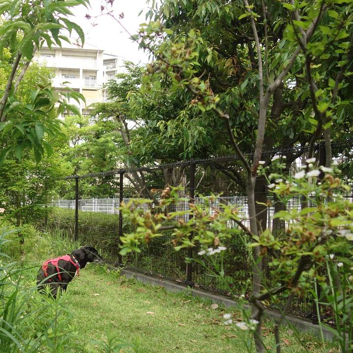 4ec78183 f333 4654 a4fc 182a2dd18f24 1685061442998