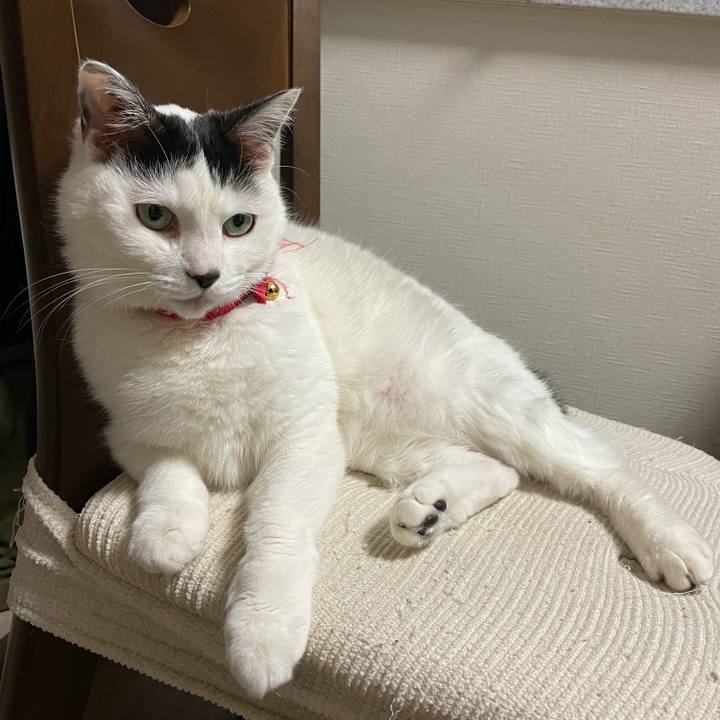 4ec7bd06 64c4 40c3 84c4 494bbae15ef6 1618318481619