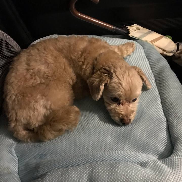 4ec7cf1b a8ff 4e7c 9fa4 9d47ee29a6ee 1570967103940