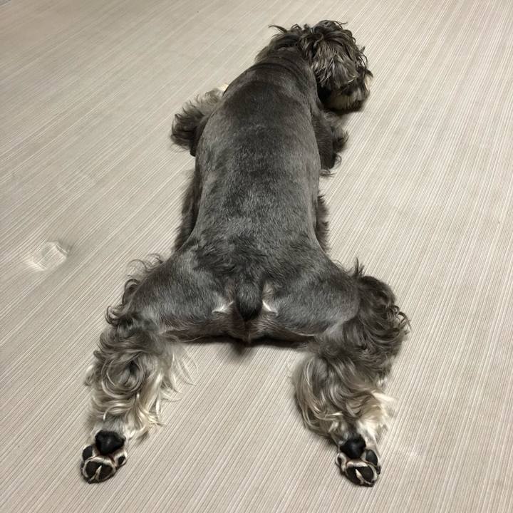 4ec81c5e 6c95 4a6b a27d a3e2dce2de83 1567512668071