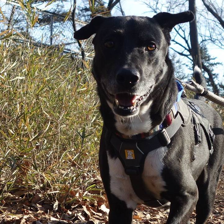 4ec83239 08a4 487c 9e37 b1ee72309be6 1646614385964