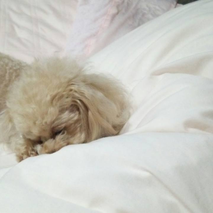 4ec8392a 0570 4aff 9bfc 1510cd6bdf09 1533130016812