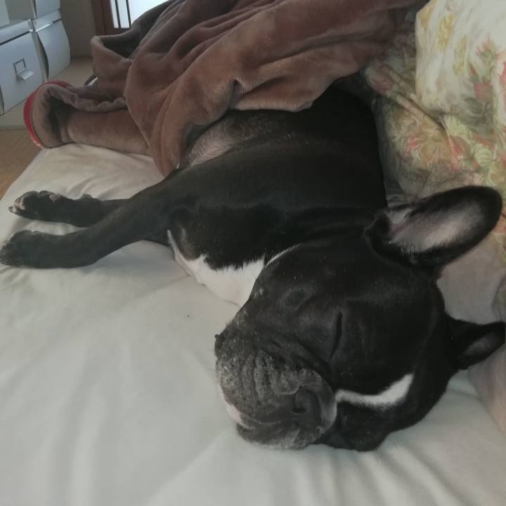 4ec852b1 9c40 4fe1 b7c6 b56c36d1da5a 1541025174150