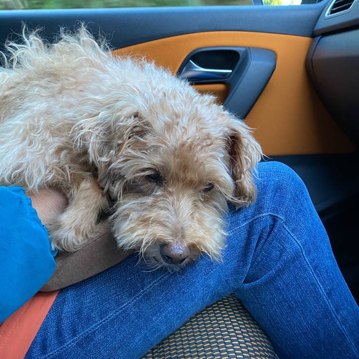 4ec857e8 8d7d 4212 bc78 29f92529b8d7 1695507087343