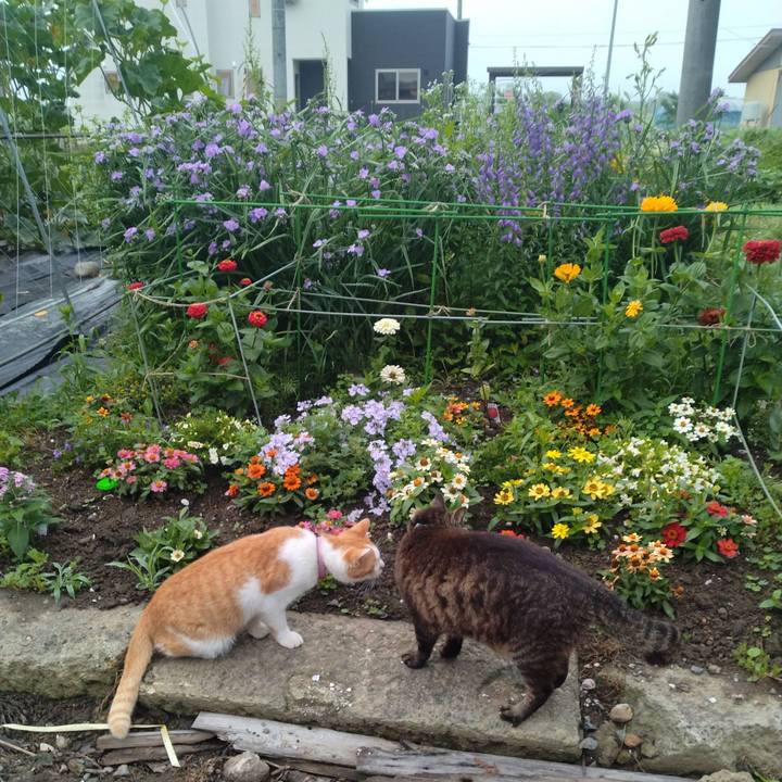 4ec8659c 198f 4191 be2c 5b43ad905b5e 1750801335060