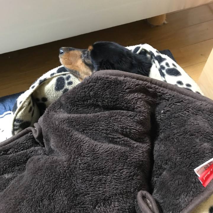 4ec86962 4fa9 4d16 9f69 aff189072b2d 1511272827709