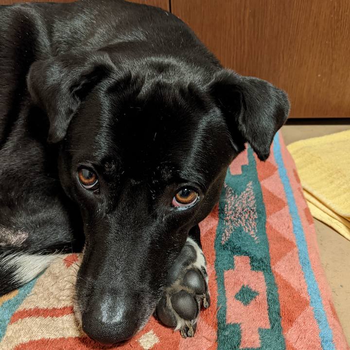 4ec89bc4 c223 4edb 93b0 1973d088a7fd 1650020904573