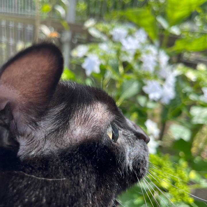 4ec8a4bc 5fad 4ab9 9350 6c8f4be3508e 1685319061551