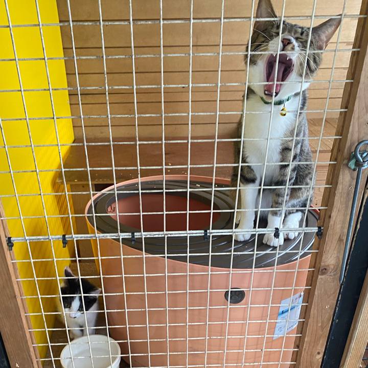 4ec8ab55 b1d7 441d 8210 a71a5ef8f80d 1653453117258