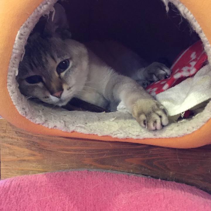 4ec8c45d f355 4882 aaf6 986d91449744 1585734445787