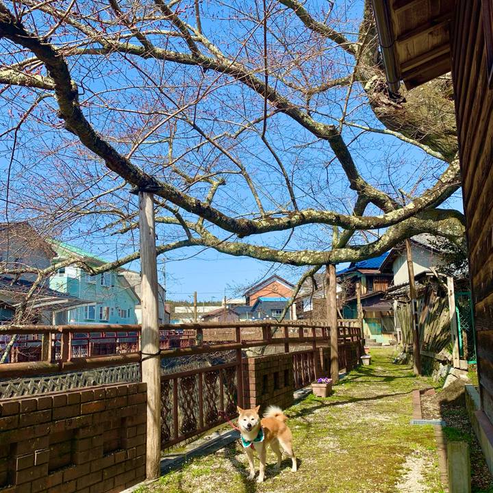 4ec8d1b0 f807 49e9 b09b a951ce73857c 1616151448254