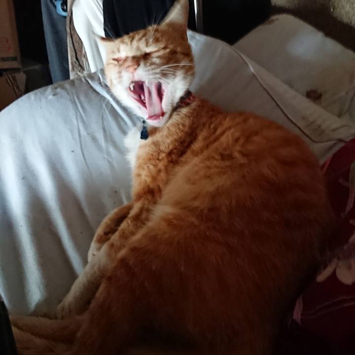 4ec92318 480a 4c7f 8326 e1c18aa53d98 1558476080701