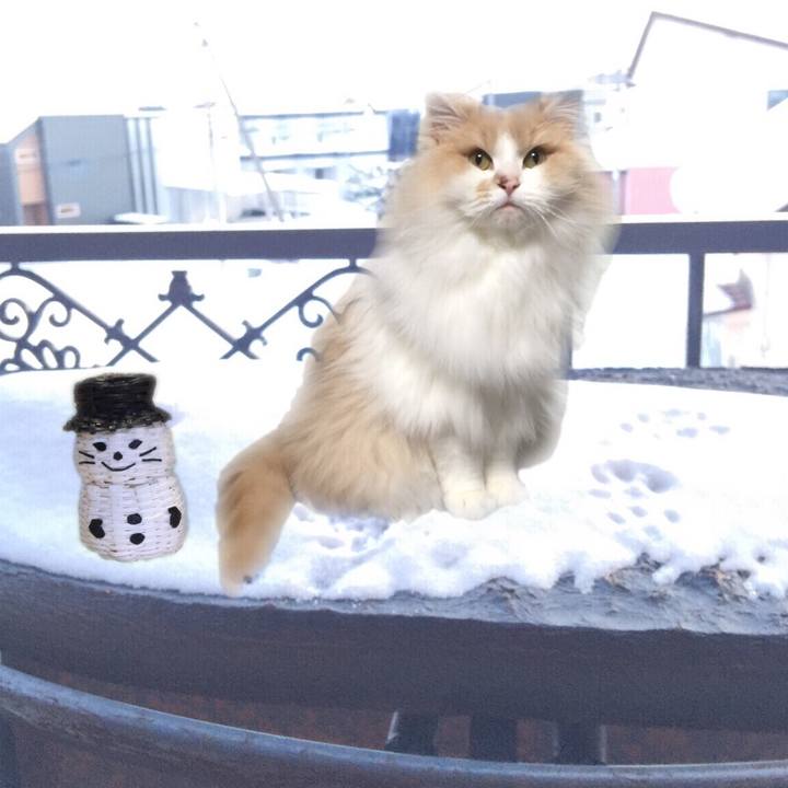 4ec9235b a7a0 4abe b0c4 c8955c2fef87 1547385288405