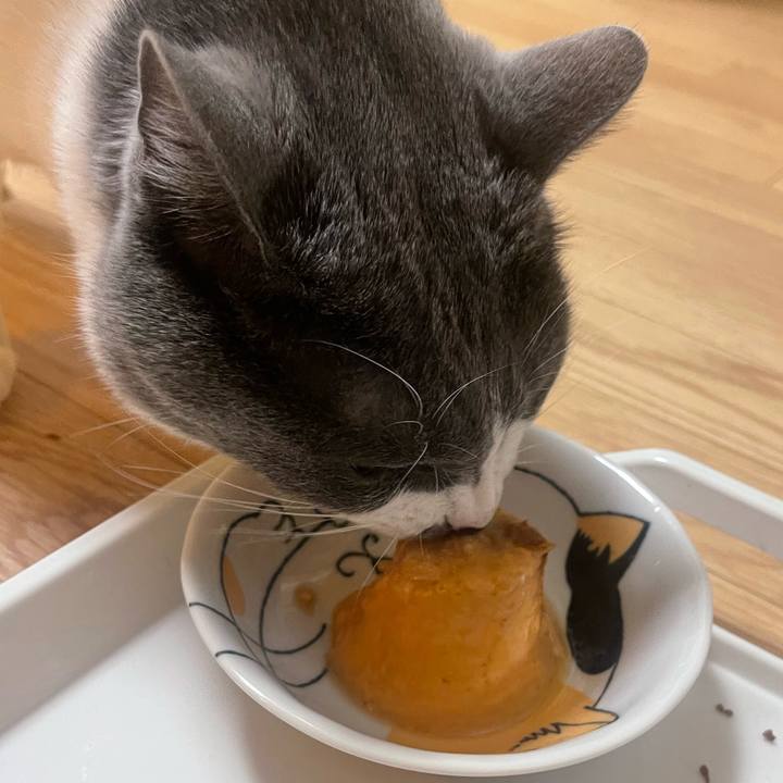 4ec93f6c ea01 4714 9c40 81b9e10c0617 1653292733041