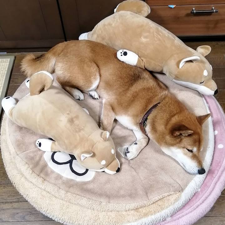 4ec99a94 3d37 4aed b858 a33beffe395c 1617970837620