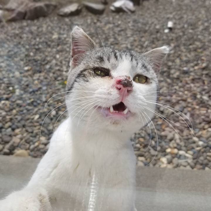 4ec9cf1f 0164 4a3b 88b0 3c6f37aa6a5c 1651292957273