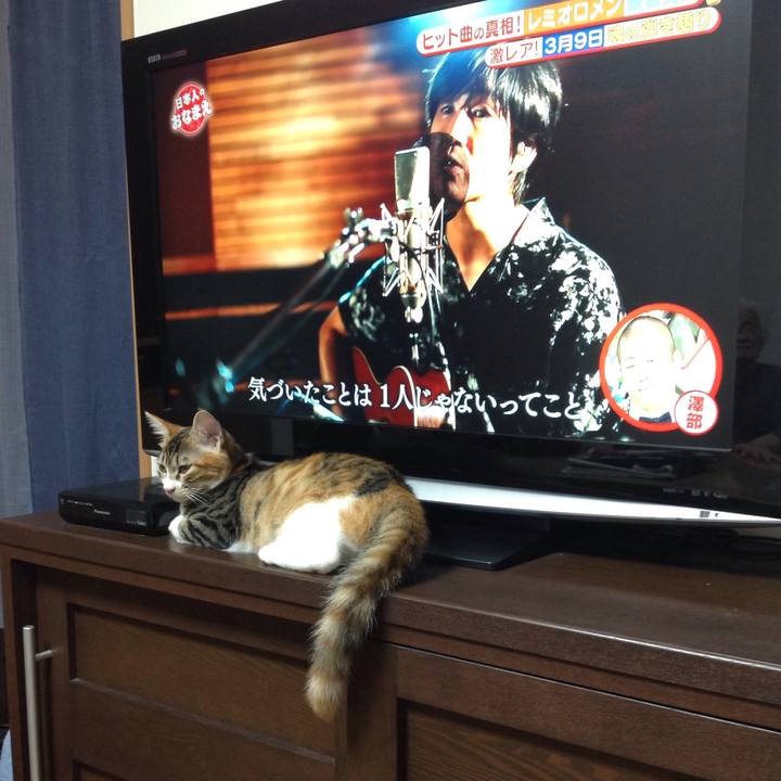 4eca392c 2c23 4083 87fd c2f1f9eebd03 1633001156840