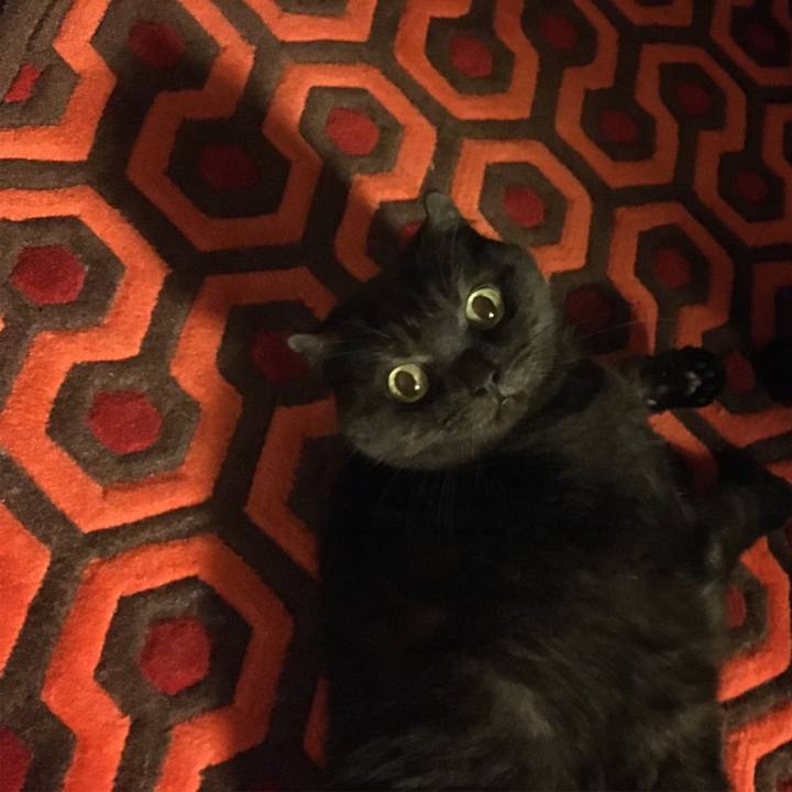 4eca5aa9 ffe2 453b bf13 b936d2d153ec 1542752663688