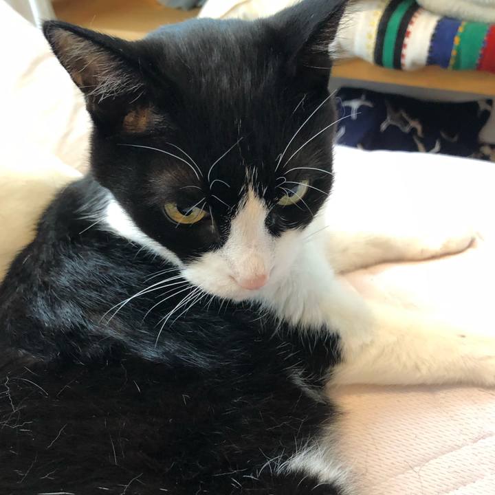 4eca8a48 6454 43b8 8b48 2d65a8d9a963 1594645735155