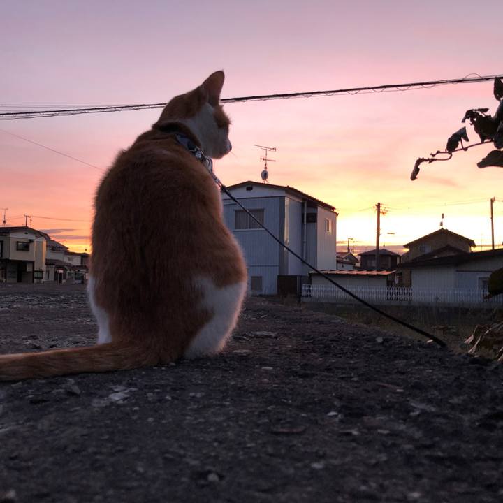 4eca979e c17e 4de6 8bdd fa8cb697292c 1539439036462