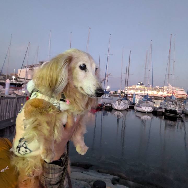 4eca99c8 79aa 442c a4b8 0dabf3d06da7 1764542779495